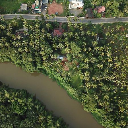 Paddyfield Inn Манантавади Екстериор снимка