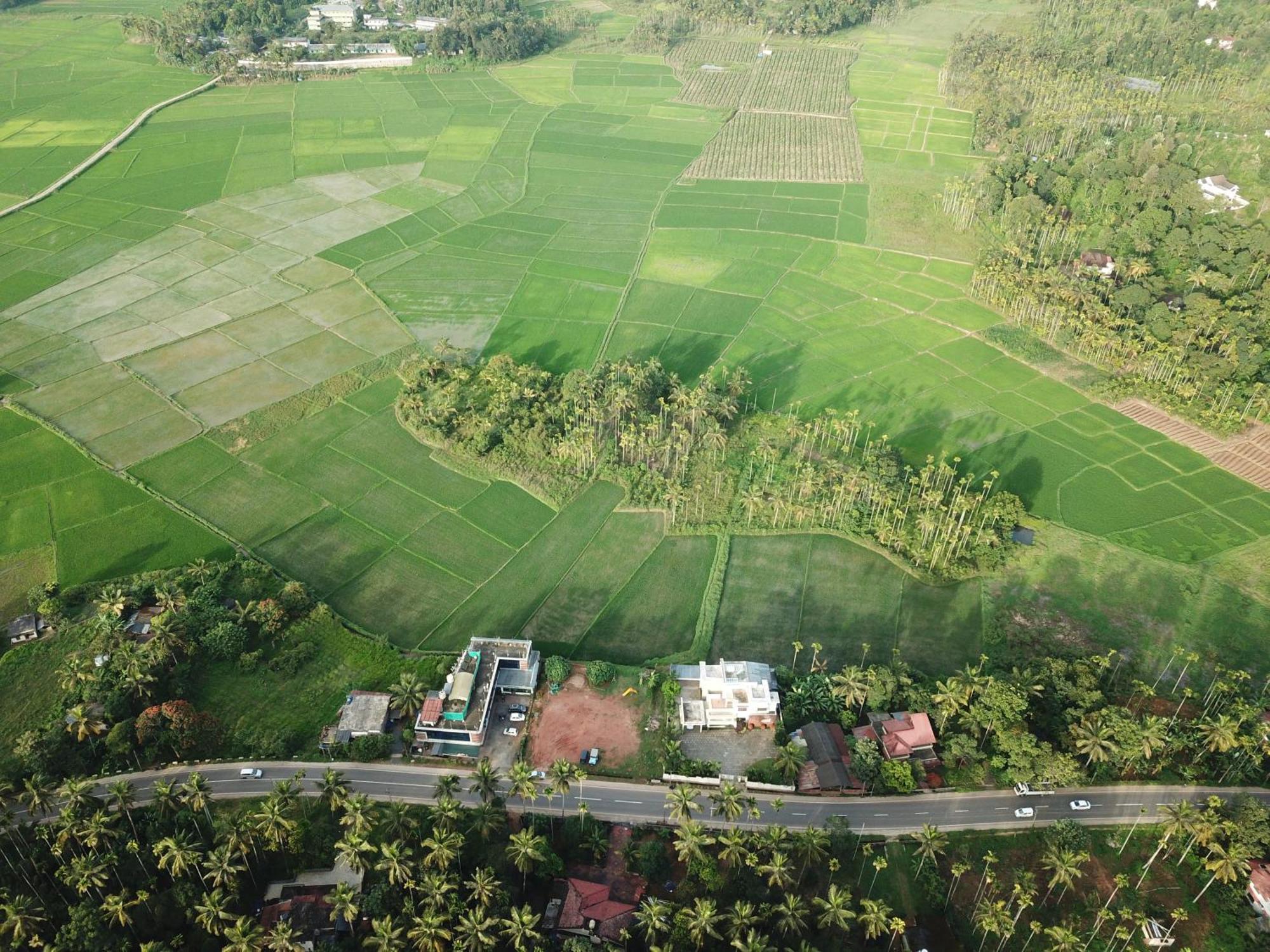 Paddyfield Inn Манантавади Екстериор снимка