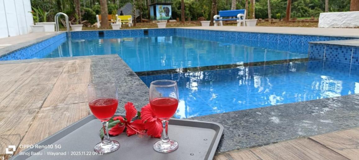 Paddyfield Inn Манантавади Екстериор снимка