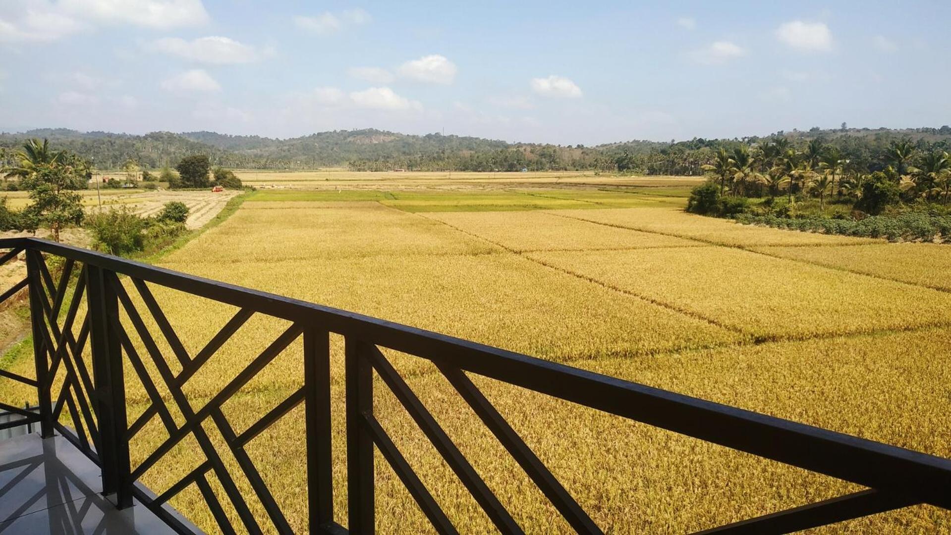 Paddyfield Inn Манантавади Екстериор снимка
