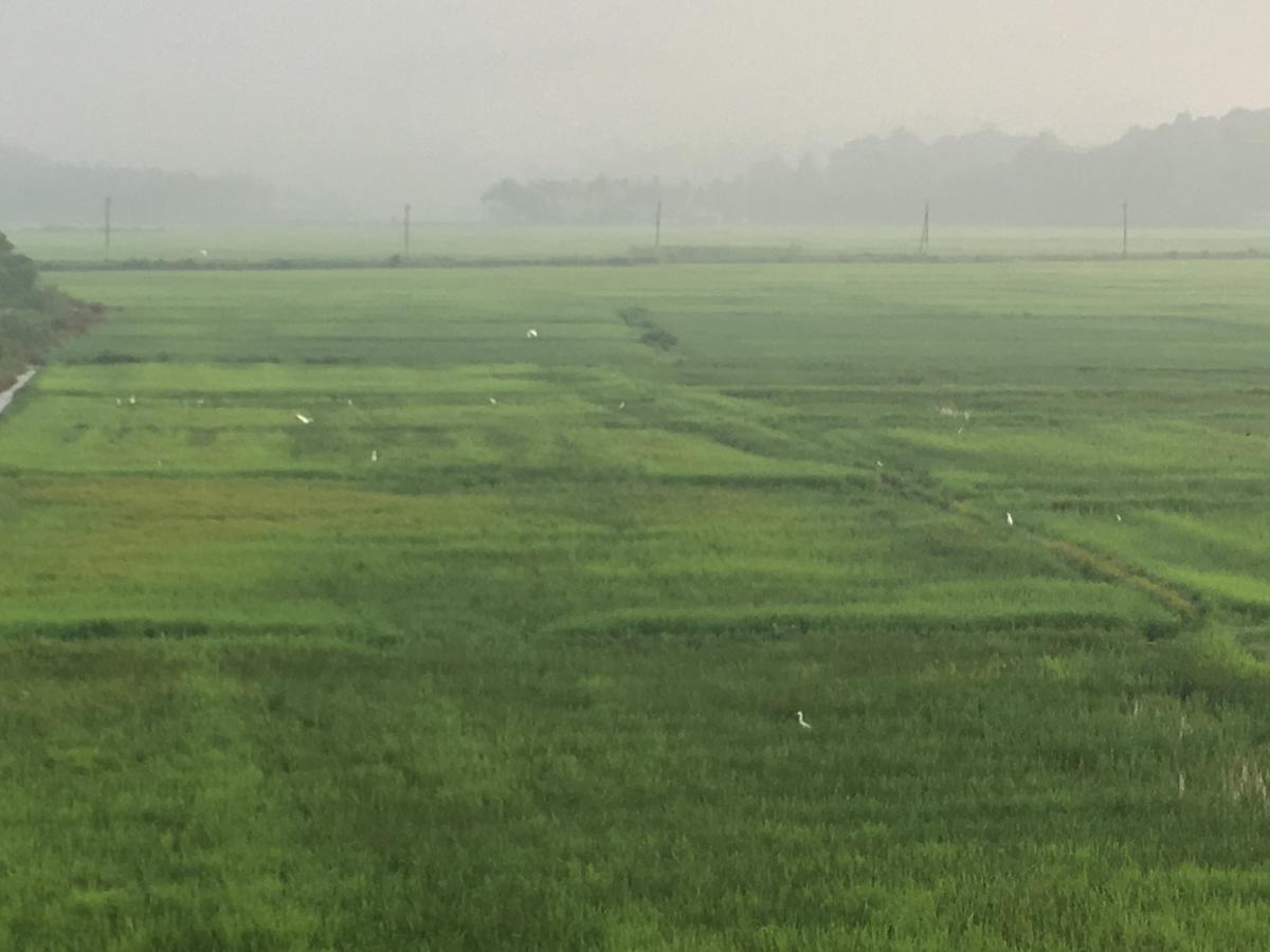 Paddyfield Inn Манантавади Екстериор снимка